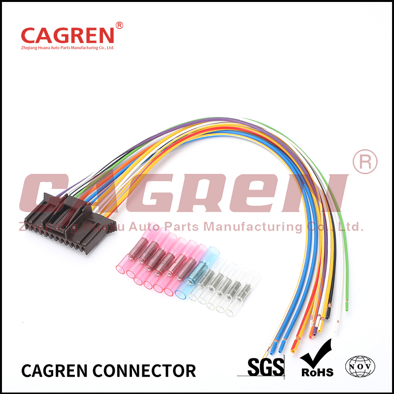 Renault Megane II, Scenic II repair kit wiring harness PPH2 computer male brown